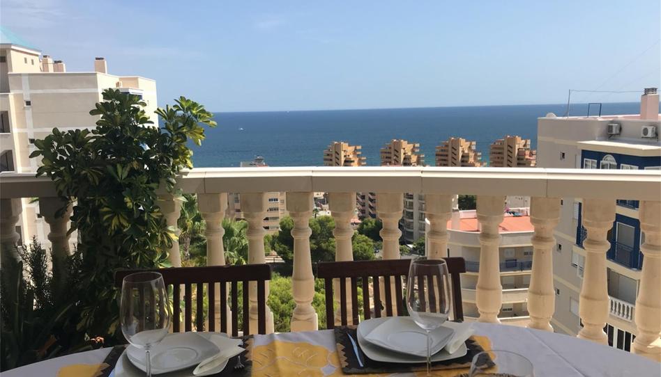 Flat to rent in Avenida de la Costa Blanca, Los Arenales del Sol, Alicante - image 1 Photo 1 of Flat to rent in Avenida de la Costa Blanca, Los Arenales del Sol, Alicante