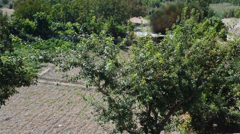 Finca rústica en venda a Calle Antigua Carretera, Caniles, Granada - imatge 2 Foto 2 de Finca rústica en venda a Calle Antigua Carretera, Caniles, Granada