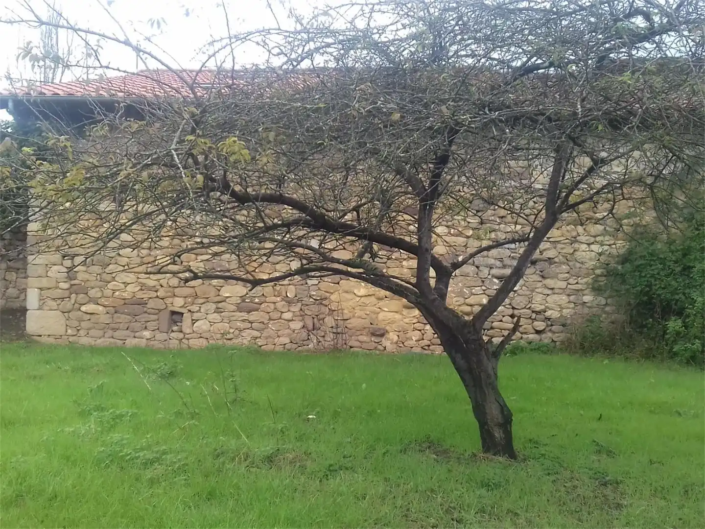 Bebaubares Gelände zum Verkauf in Barrio Arenas de Iguña, Arenas de Iguña Garten von Bebaubares Gelände zum Verkauf in Arenas de Iguña