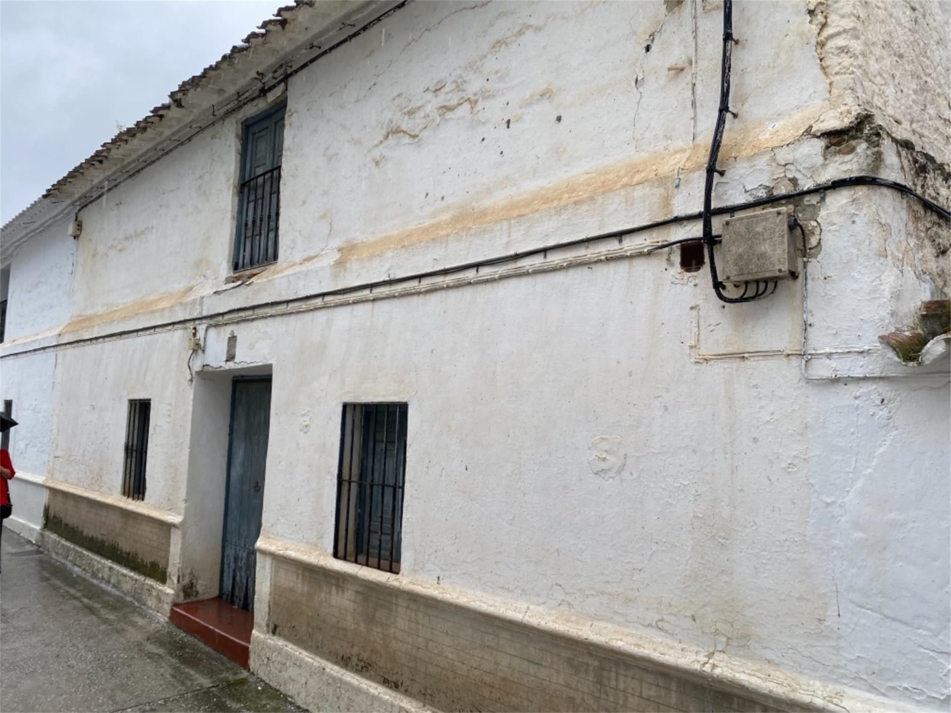 Vista exterior de Finca rústica en venta en Sedella con Jardín privado y Terraza