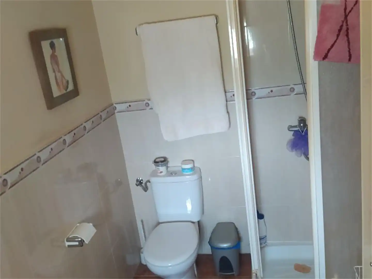Baño de Finca rústica en venta en Baltar