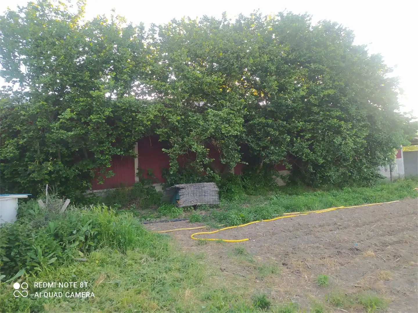Finca rústica en venta en Baltar