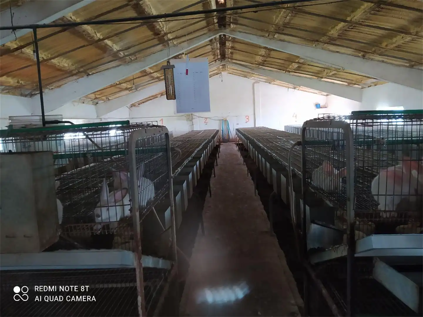 Finca rústica en venta en Baltar