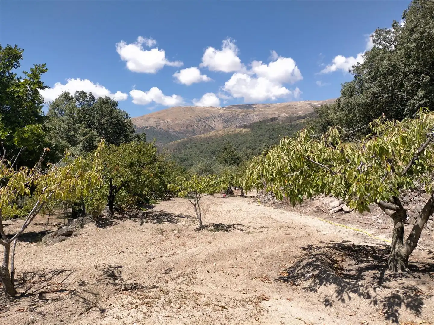 Terreno en venta en Avenida España, Aldeanueva de la Vera Terreno en venta en Aldeanueva de la Vera