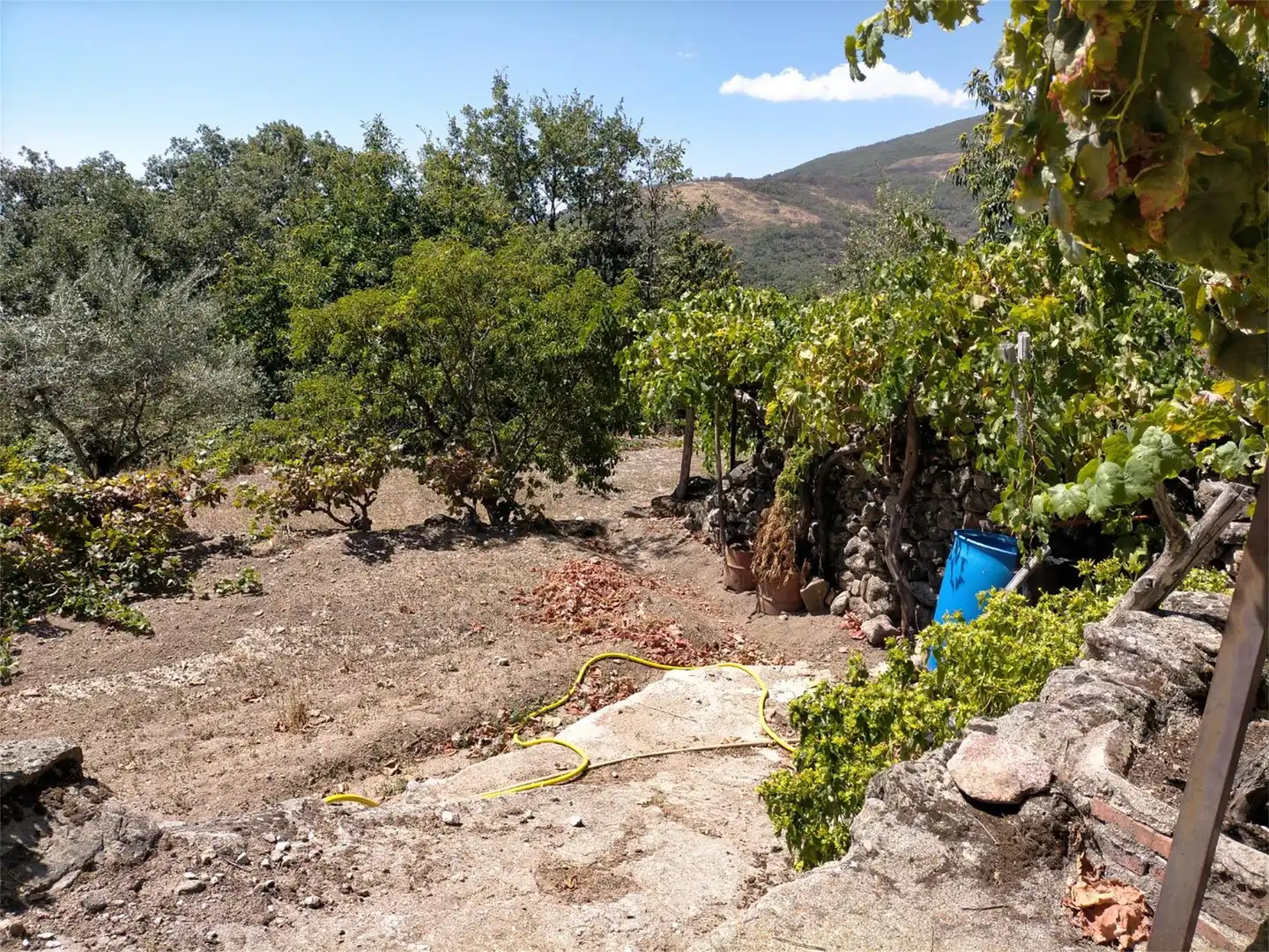 Terreno en venta en Avenida España, Aldeanueva de la Vera Terreno en venta en Aldeanueva de la Vera