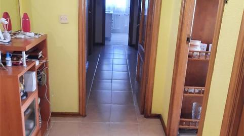 Foto 5 de Finca rústica en venda a Bieite, Leiro, Ourense