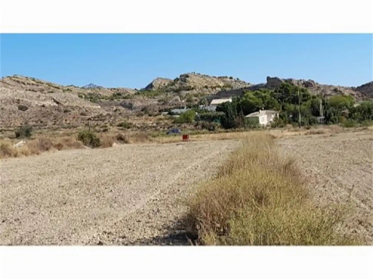 Non-constructible Land for sale in Partida Campet, Novelda Exterior view of Non-constructible Land for sale in Novelda
