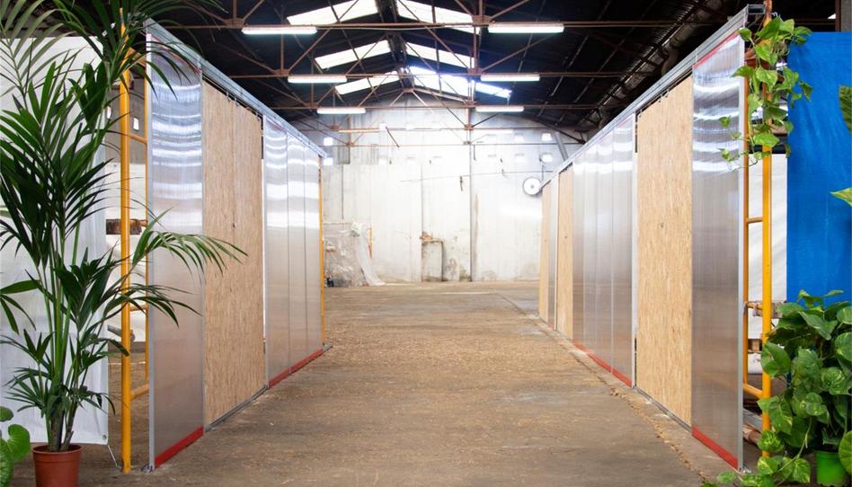 Oficina de lloguer a Calle Cura Palanca, 26, La Punta, Valencia - imatge 1 Foto 1 de Oficina de lloguer a Calle Cura Palanca, 26, La Punta, Valencia