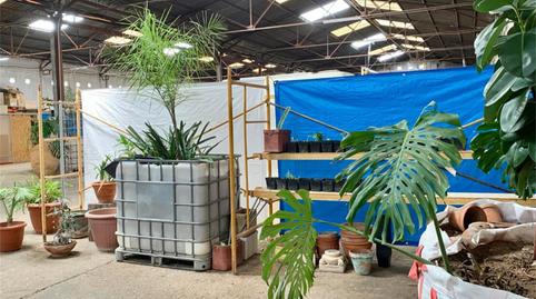 Oficina de lloguer a Calle Cura Palanca, 26, La Punta, Valencia - imatge 5 Foto 5 de Oficina de lloguer a Calle Cura Palanca, 26, La Punta, Valencia