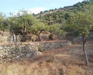 Terreny en venda en Pedro Bernardo