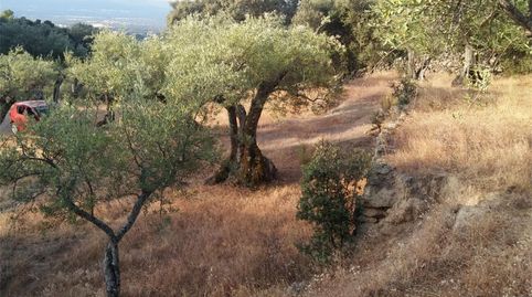 Foto 5 de Terreno en venta en Paseo Arturo Duperier, Pedro Bernardo, Ávila