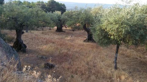 Foto 4 de Terreno en venta en Paseo Arturo Duperier, Pedro Bernardo, Ávila