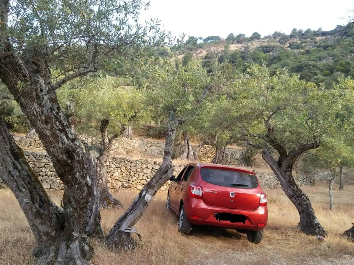 Parking de Terreno en venta en Pedro Bernardo