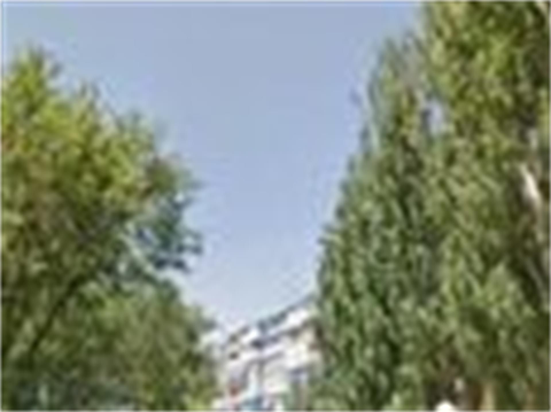 Vista exterior de Traster de lloguer en Móstoles
