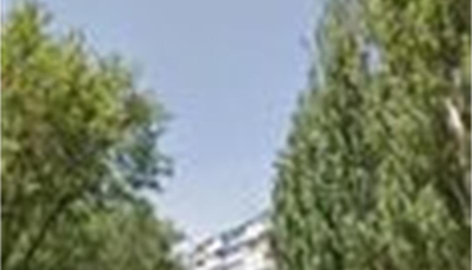 Trastero de alquiler en Calle Pintor Miró, Norte - Universidad, Madrid - imagen 1 Foto 1 de Trastero de alquiler en Calle Pintor Miró, Norte - Universidad, Madrid