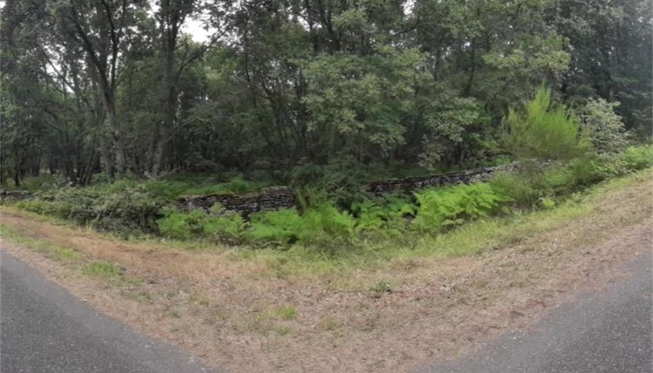 Nicht bebaubares Gelände zum Verkauf in A Bola , Ourense - Bild 1 Foto 1 von Nicht bebaubares Gelände zum Verkauf in A Bola , Ourense