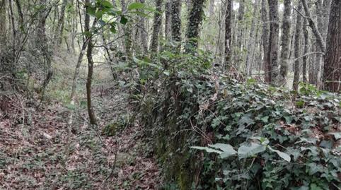 Nicht bebaubares Gelände zum Verkauf in A Bola , Ourense - Bild 3 Foto 3 von Nicht bebaubares Gelände zum Verkauf in A Bola , Ourense