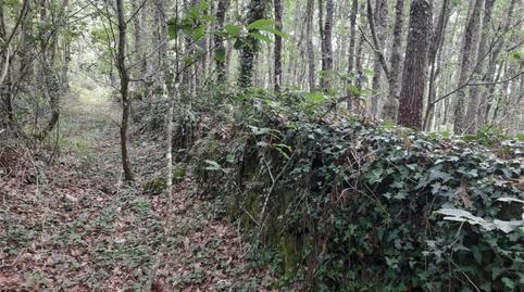 Nicht bebaubares Gelände zum Verkauf in A Bola , Ourense - Bild 4 Foto 4 von Nicht bebaubares Gelände zum Verkauf in A Bola , Ourense