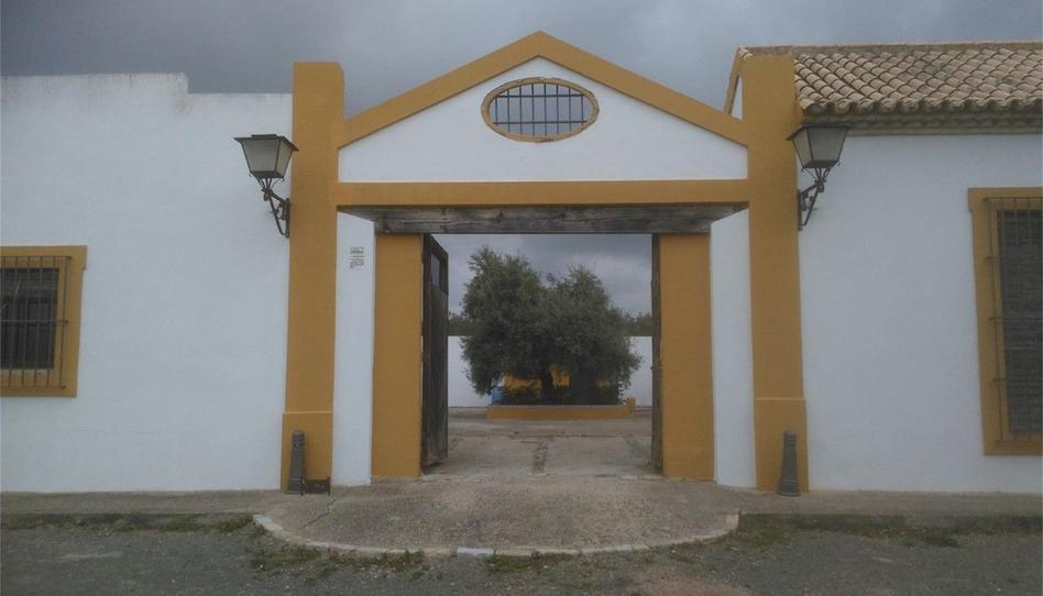 Finca rústica en venda a Avenida de Pruna, Morón de la Frontera, Sevilla - imatge 1 Foto 1 de Finca rústica en venda a Avenida de Pruna, Morón de la Frontera, Sevilla