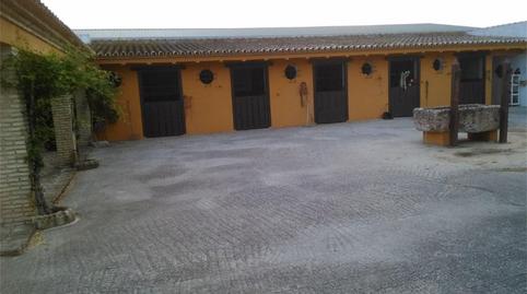 Finca rústica en venda a Avenida de Pruna, Morón de la Frontera, Sevilla - imatge 3 Foto 3 de Finca rústica en venda a Avenida de Pruna, Morón de la Frontera, Sevilla