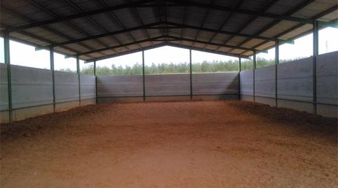 Finca rústica en venda a Avenida de Pruna, Morón de la Frontera, Sevilla - imatge 4 Foto 4 de Finca rústica en venda a Avenida de Pruna, Morón de la Frontera, Sevilla