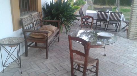 Finca rústica en venda a Avenida de Pruna, Morón de la Frontera, Sevilla - imatge 5 Foto 5 de Finca rústica en venda a Avenida de Pruna, Morón de la Frontera, Sevilla