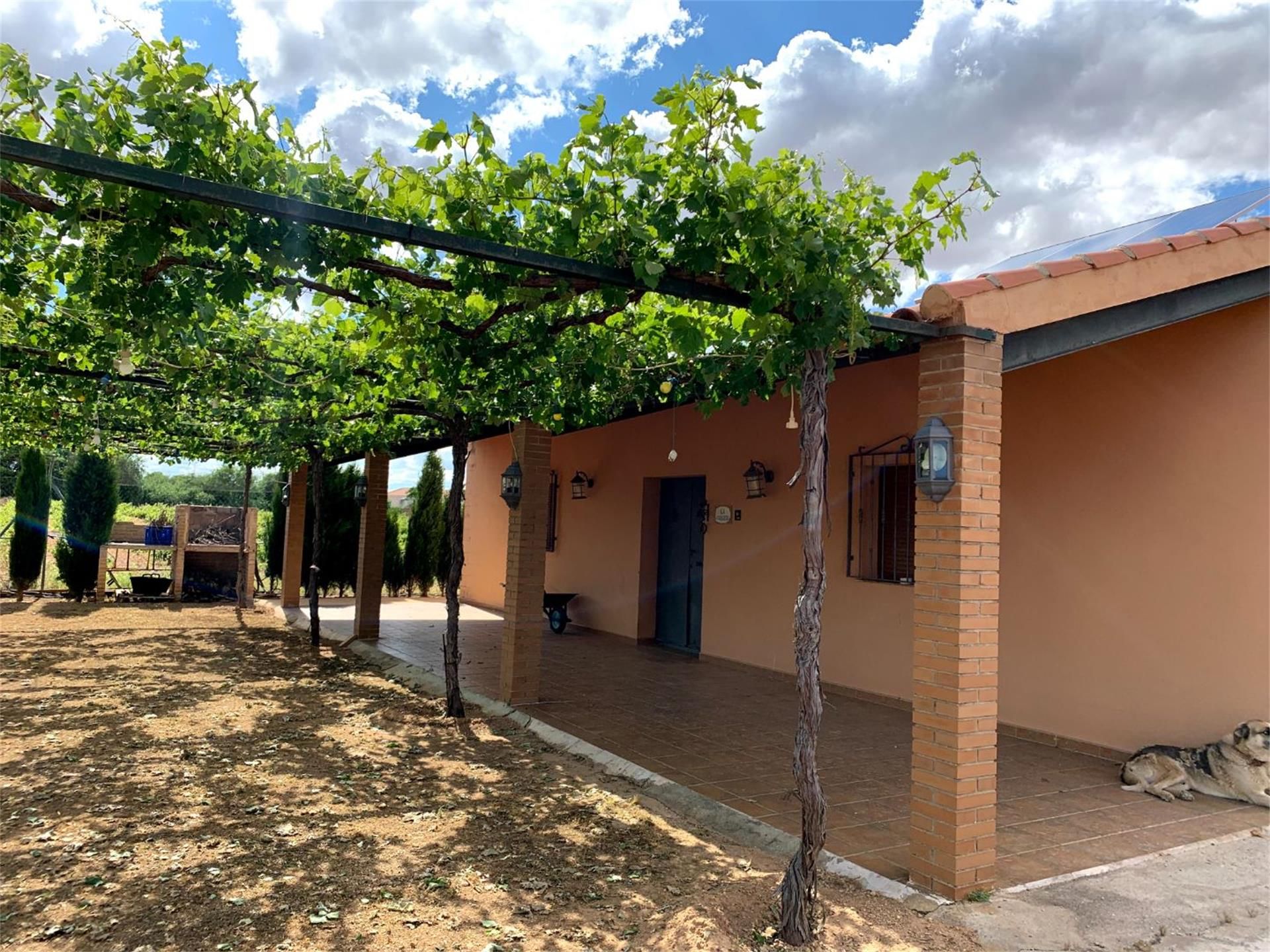 Jardí de Finca rústica en venda en Tomelloso