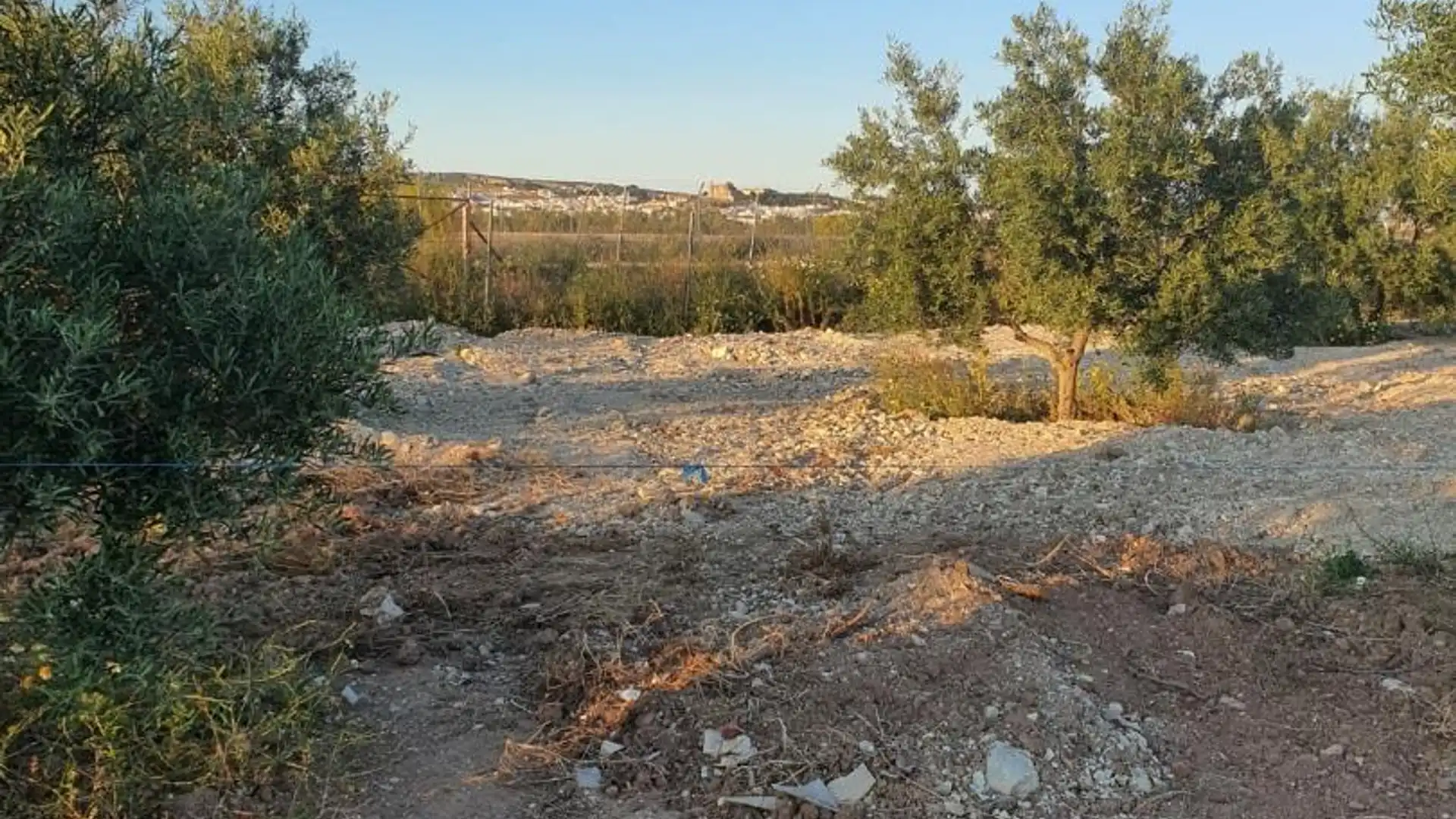 Terreno en venta en Osuna