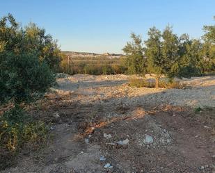 Land for sale in Osuna