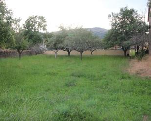 Land for sale in Vegaquemada