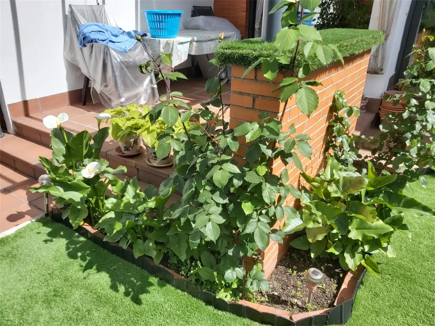 Habitación en Calle de Puerto Vallarta, 1, Salvador