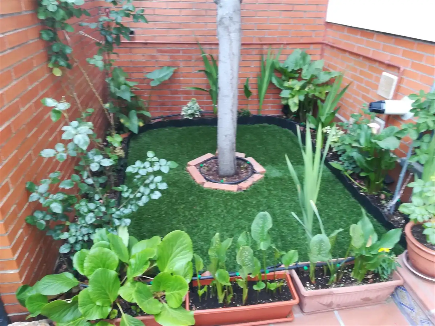 Habitación en Calle de Puerto Vallarta, 1, Salvador