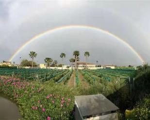 Jardí de Pis en venda en Orihuela amb Aire condicionat, Terrassa i Piscina