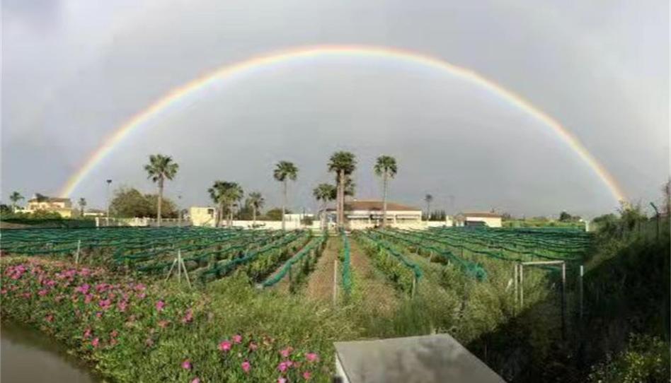 Pis en venda a Vereda la Zanja, Molins - Campaneta - San Bartolomé, Alicante - imatge 1 Foto 1 de Pis en venda a Vereda la Zanja, Molins - Campaneta - San Bartolomé, Alicante