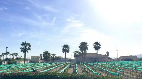 Pis en venda a Vereda la Zanja, Molins - Campaneta - San Bartolomé, Alicante - imatge 5 Foto 5 de Pis en venda a Vereda la Zanja, Molins - Campaneta - San Bartolomé, Alicante