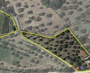 Land for sale in Valencia de Alcántara