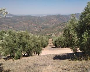 Exterior view of Land for sale in Villanueva del Arzobispo