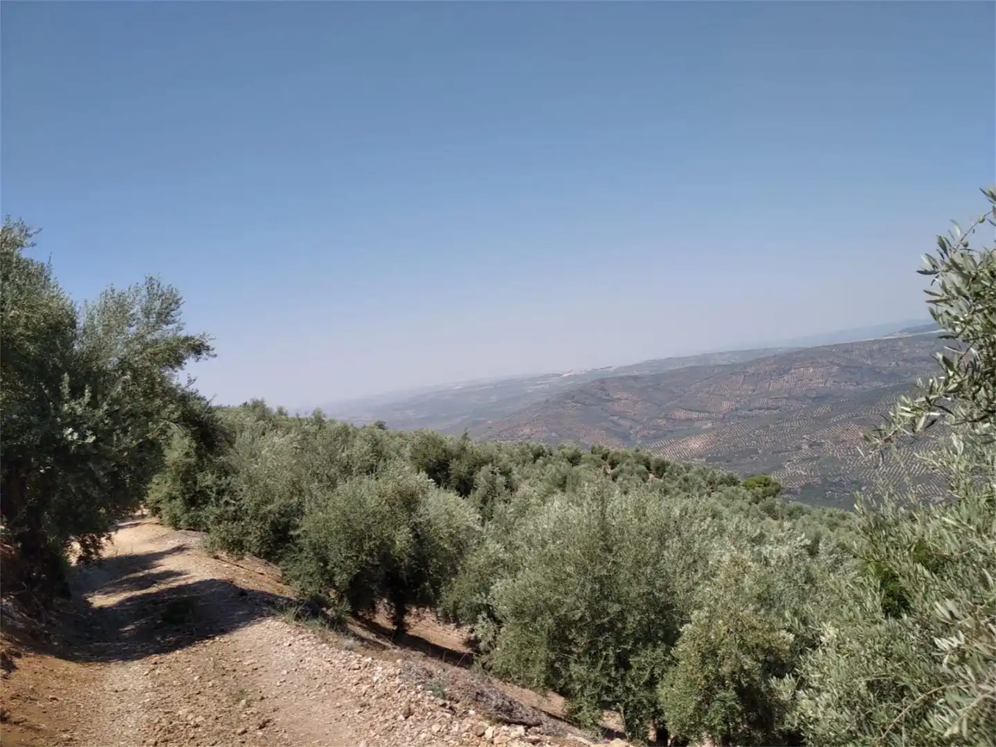 Land for sale in JV-7041, Villanueva del Arzobispo Exterior view of Land for sale in Villanueva del Arzobispo