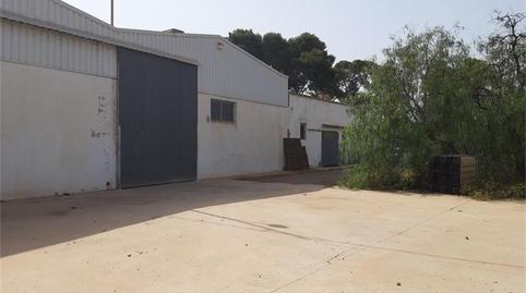 Finca rústica en venda a La Palma, Murcia - imatge 4 Foto 4 de Finca rústica en venda a La Palma, Murcia