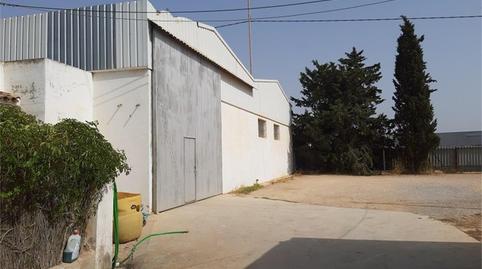 Finca rústica en venda a La Palma, Murcia - imatge 5 Foto 5 de Finca rústica en venda a La Palma, Murcia