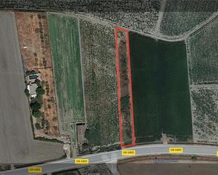 Exterior view of Non-constructible Land for sale in Fuente Vaqueros