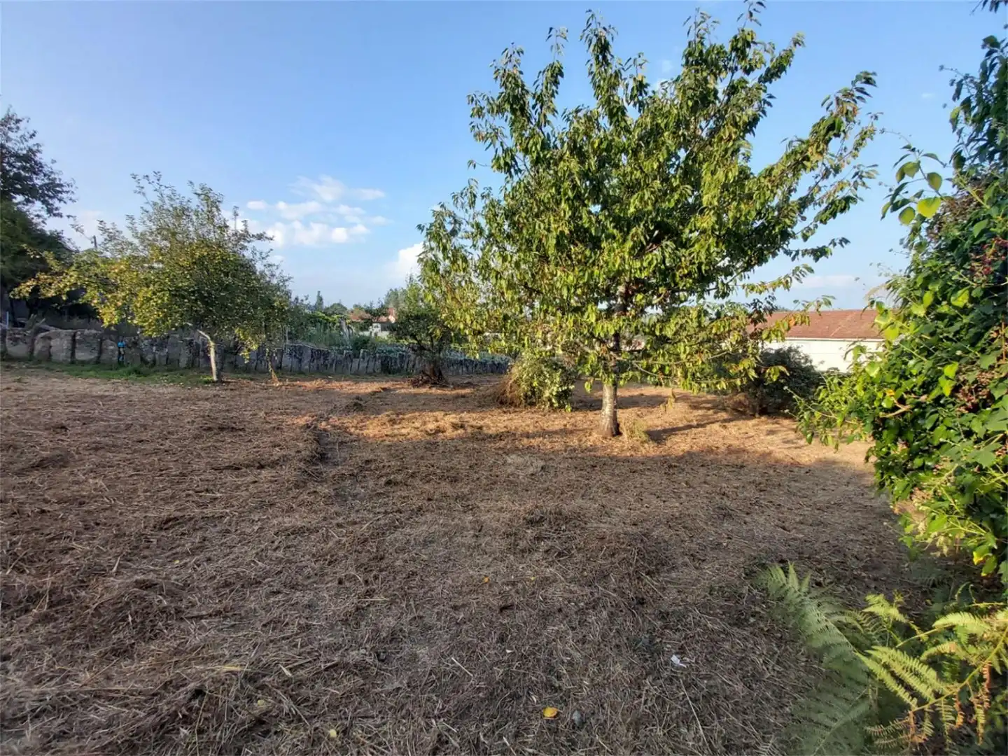 Terreno en venta en Abelenda, 169, Carballeda de Avia Terreno en venta en Carballeda de Avia