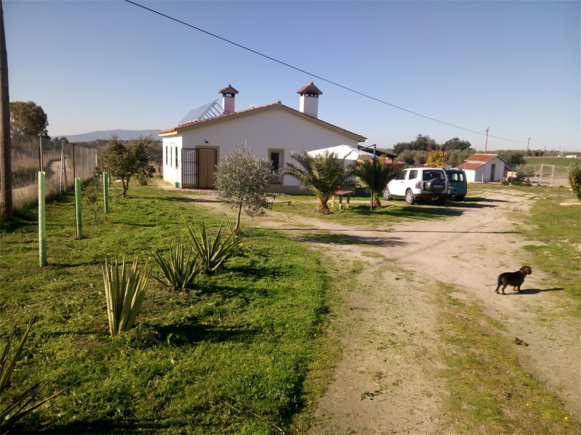 Vista exterior de Casa o xalet en venda en Magacela amb Aire condicionat i Terrassa