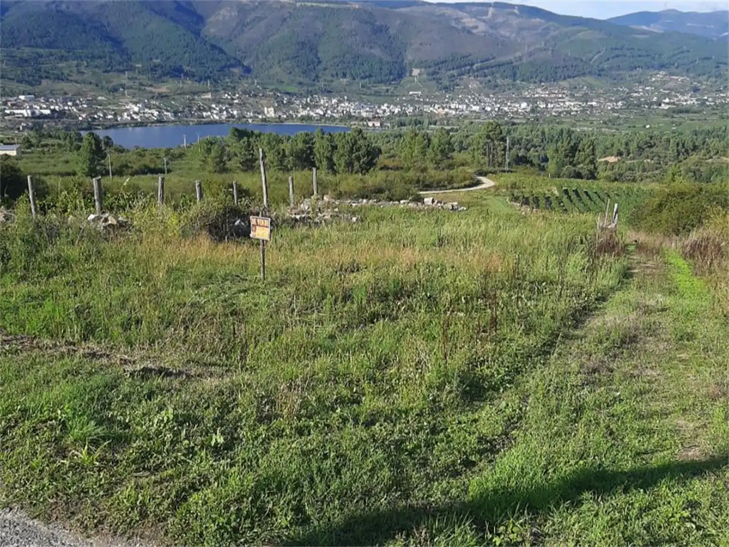 Constructible Land for sale in Petín