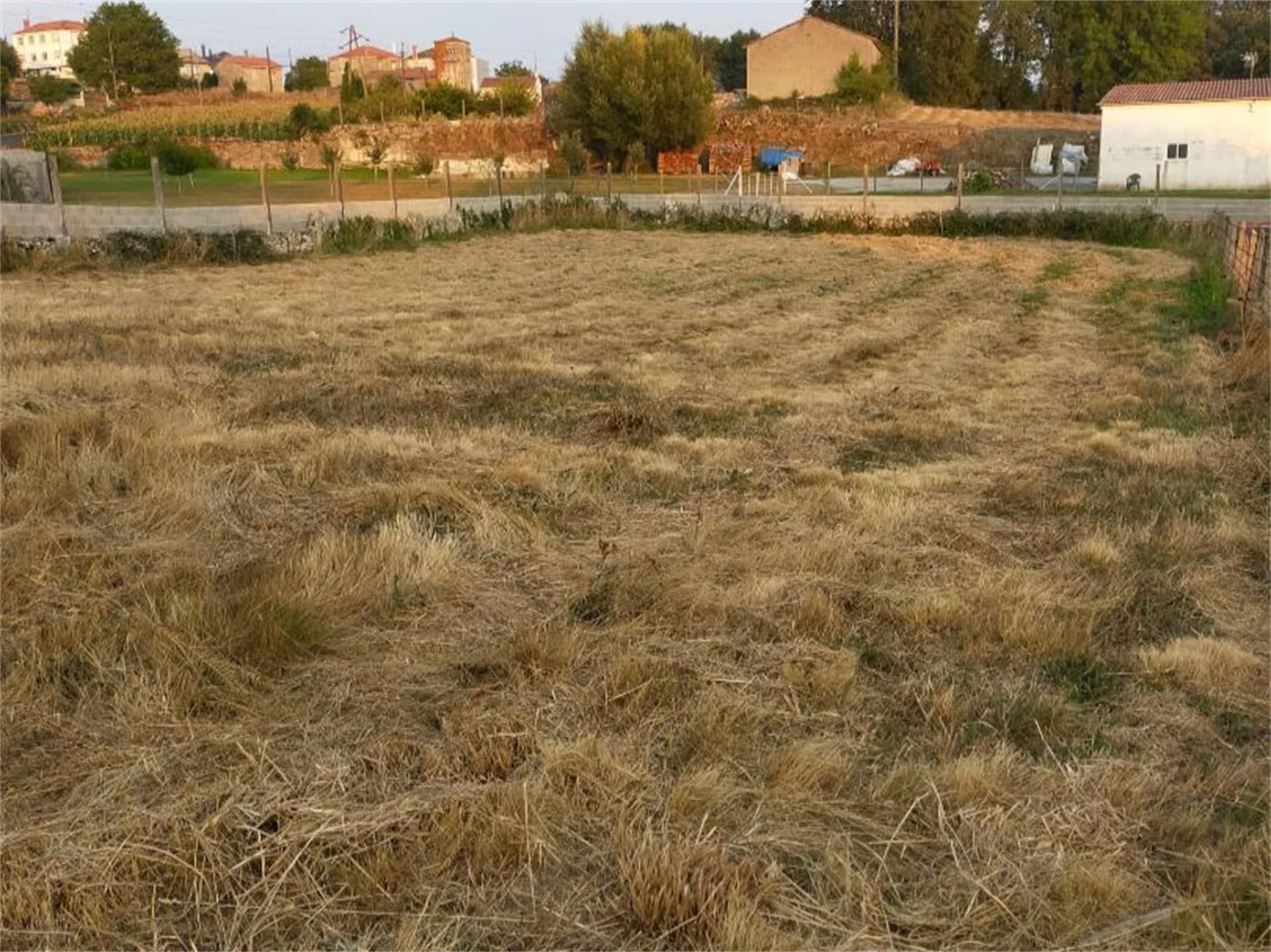 Constructible Land for sale in Monterroso