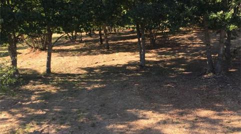 Foto 3 de Finca rústica en venta en Rúa Bóveda, Amoeiro, Ourense