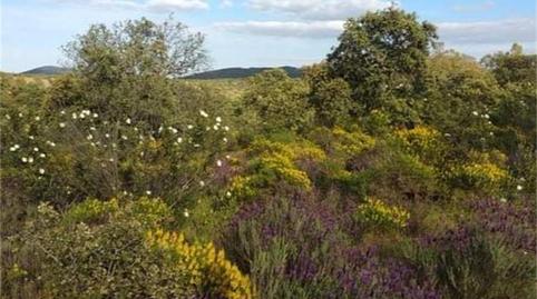 Photo 3 of Flat for sale in Carretera Don Benito, Guareña, Badajoz