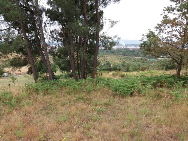 Terreno en Venta en Barrocanes