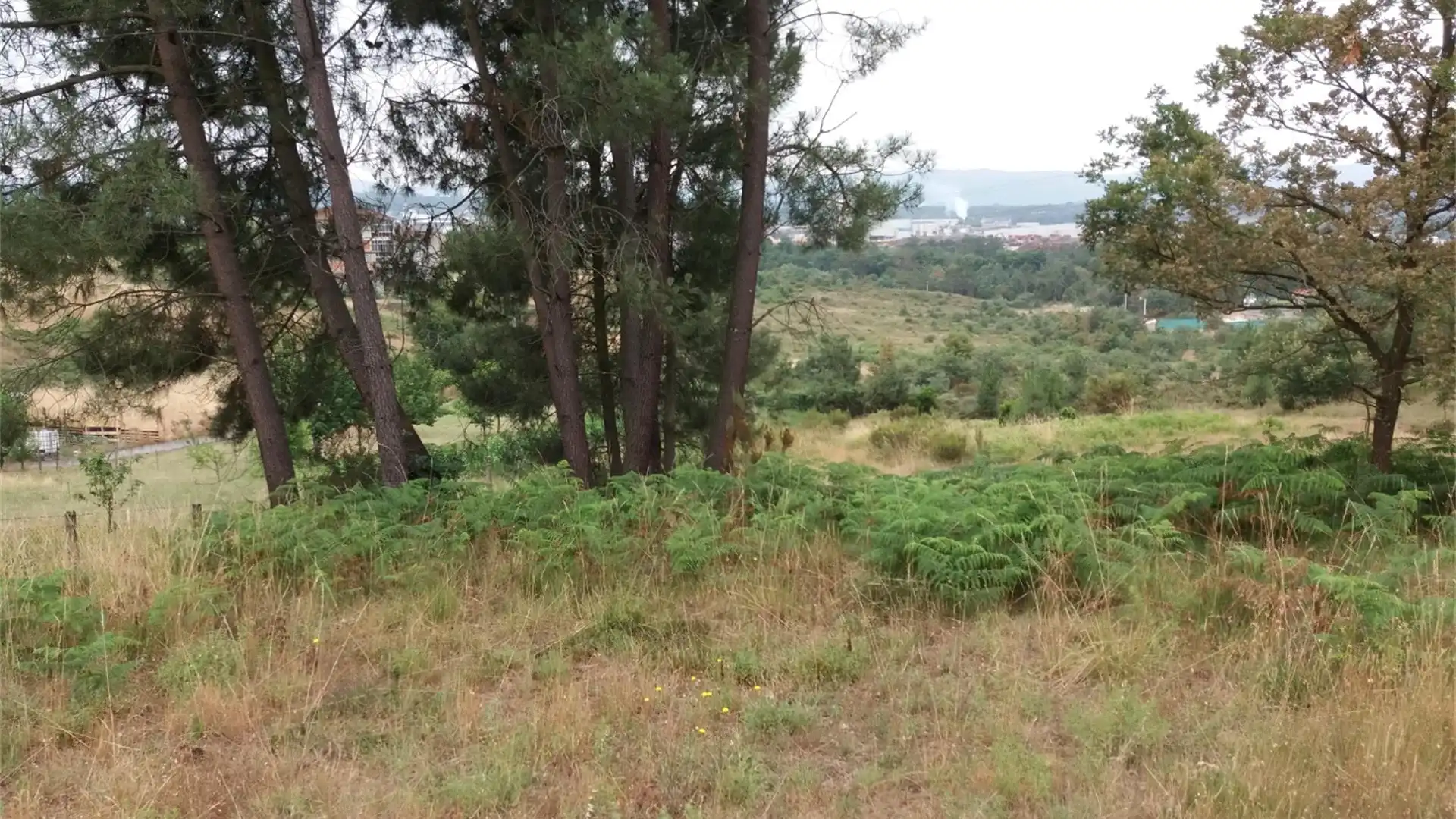 Terreny en venda en Ourense Capital 