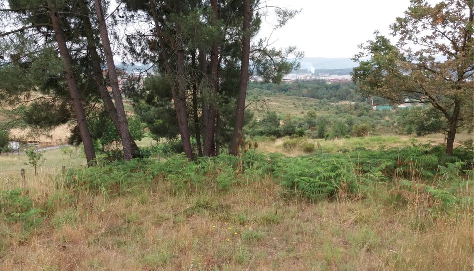 Terreno en venta en Barrocanes, Ourense Capital - imagen 1 Foto 1 de Terreno en venta en Barrocanes, Ourense Capital